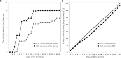 Multiple Genomic Regions Govern Tolerance to Sulfentrazone in Snap Bean (Phaseolus Vulgaris L.)